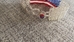 Beautiful, USA American Flag, Pretty Bracelet Beaded   - BXFUSAFLAGBEADBRACELET